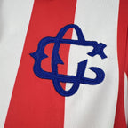 chivas 110th aniversario manga larga