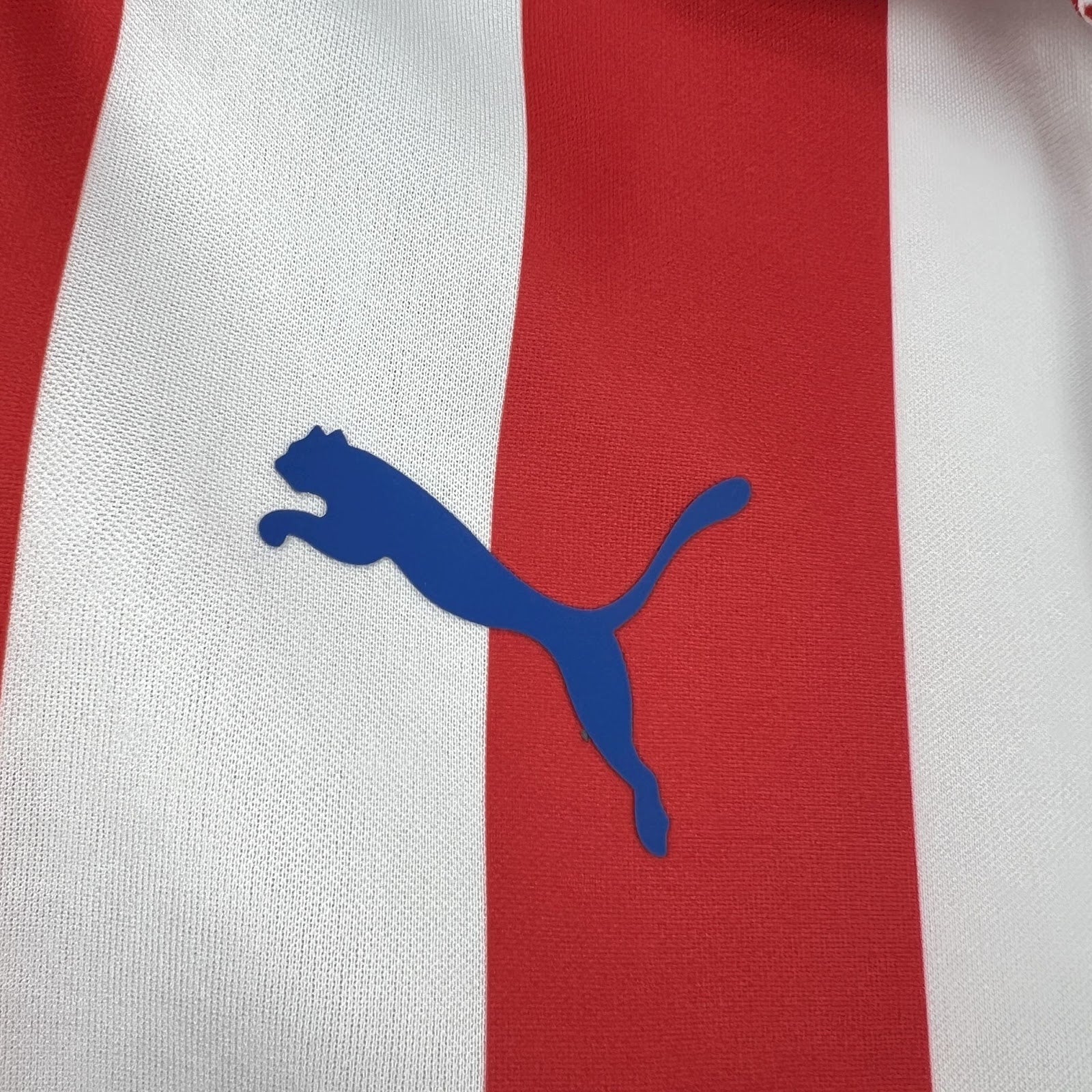 chivas 110th aniversario manga larga