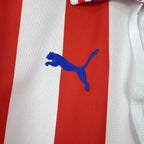 Chivas Aniversario 110th