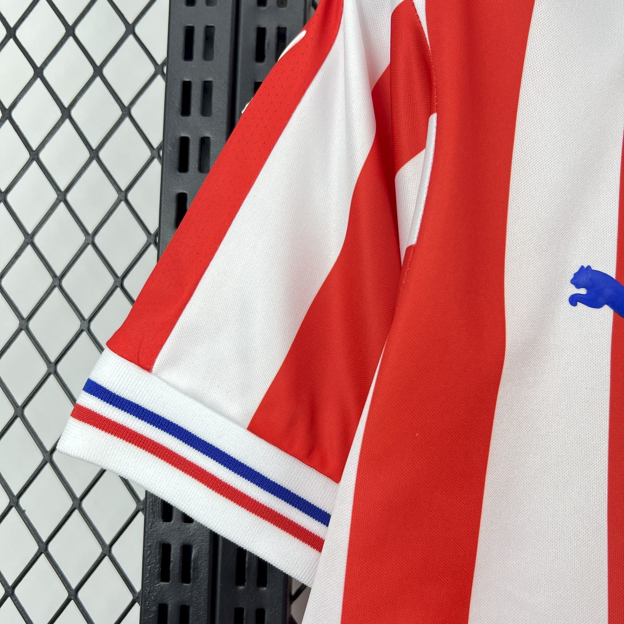 Chivas Aniversario 110th