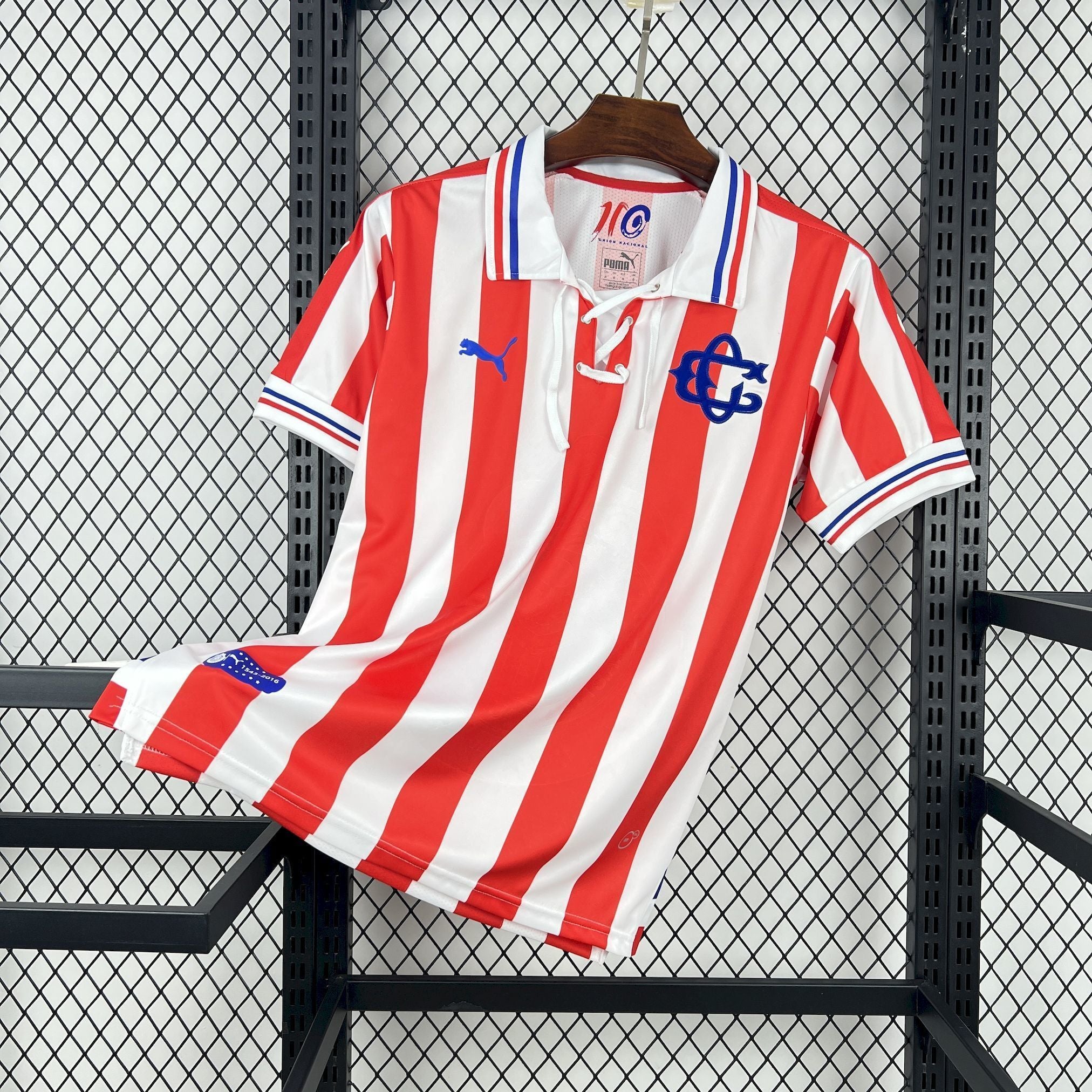 Chivas Aniversario 110th
