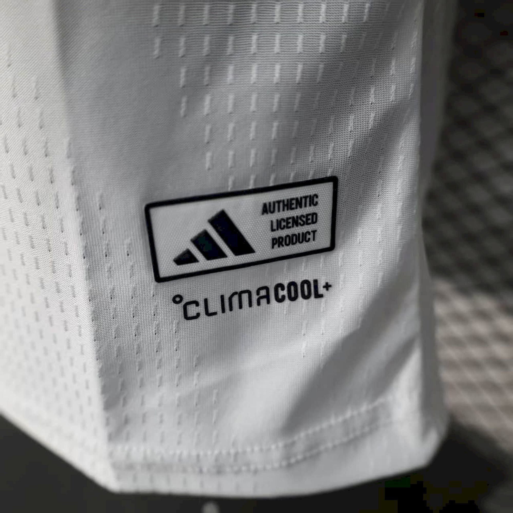 Alemania 2026 Local
