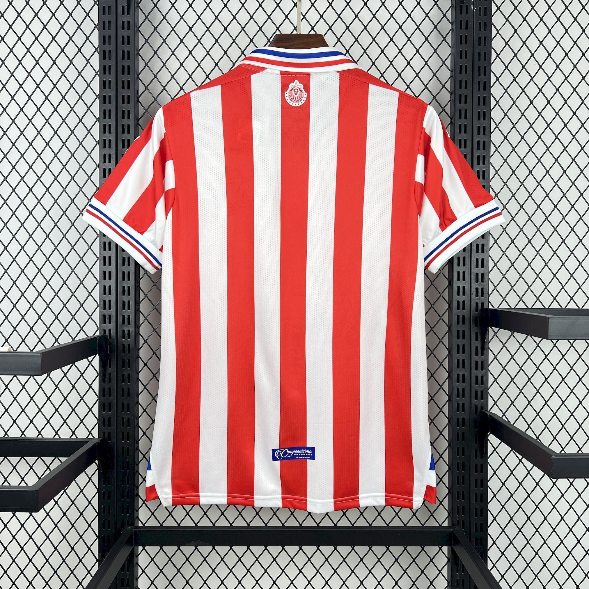 Chivas Aniversario 110th