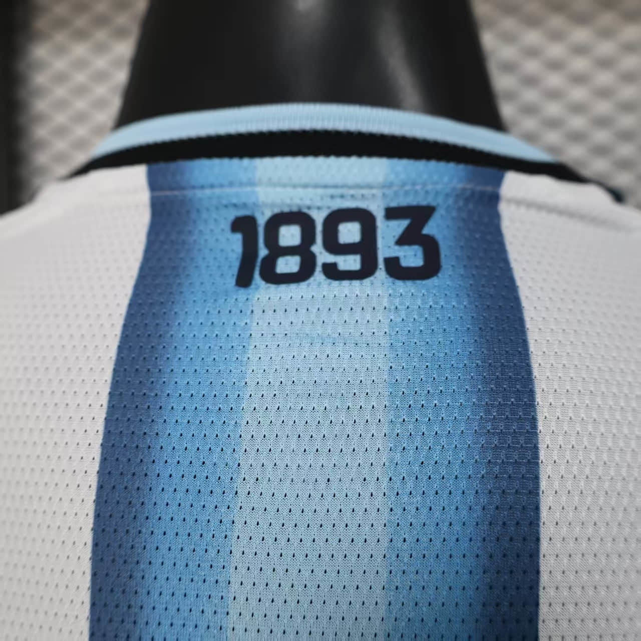 Argentina 2026 Manga Larga